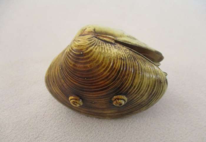 Highly collectable vintage 1930's/40's Japanese carved clam shell diorama with spinning water wheel