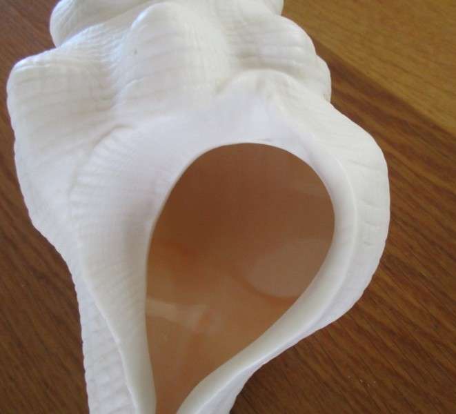 A lovely Luna Del Mar seashell shaped tealight candle holder