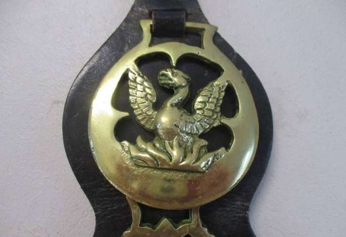 Five rather large horse brasses on leather strap