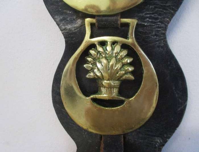 Five rather large horse brasses on leather strap