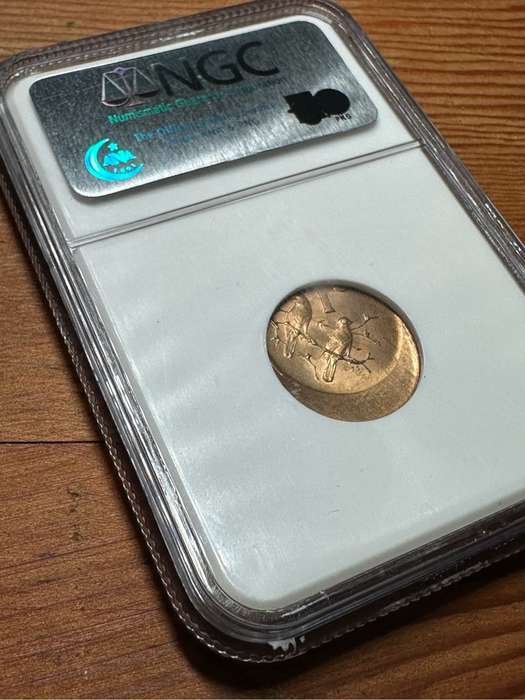 NGC graded error 1 cent coin