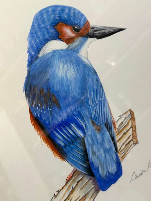 Christa Nolte Watercolour Bird Painting