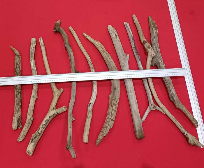 Crafts Driftwood Pieces Lot 202