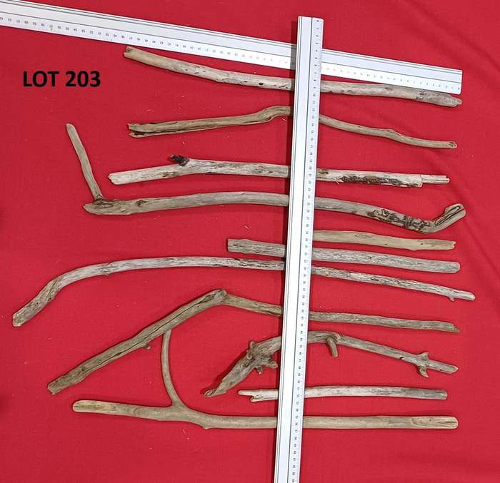 Driftwood Sticks Lot 203