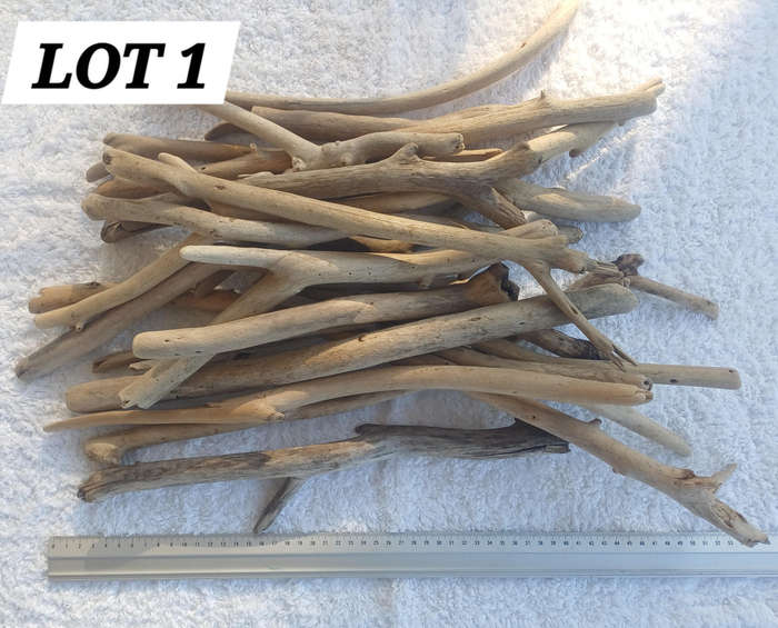 Driftwood Sticks Pieces Lot 1