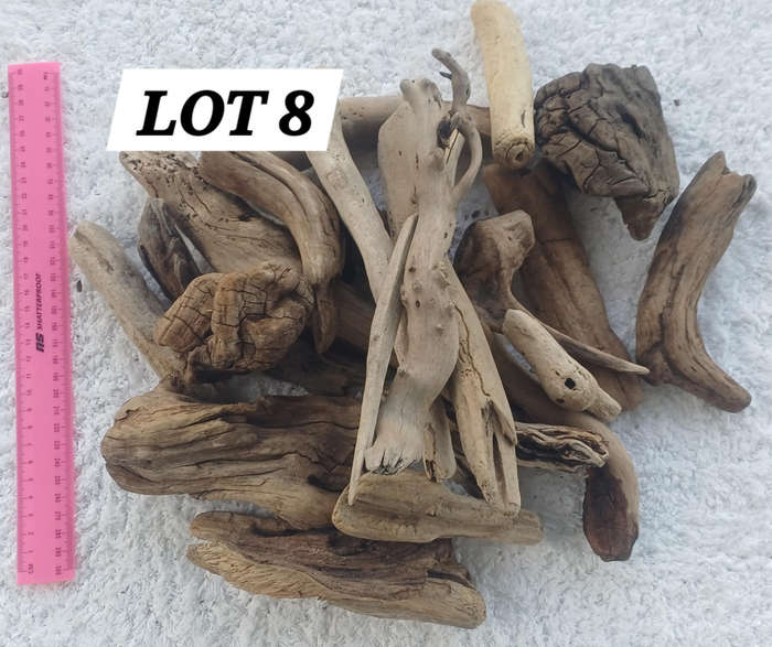 Driftwood Pieces and Clumps Lot 8