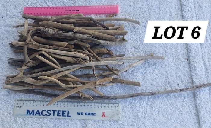 Driftwood Pieces Small Lot 6