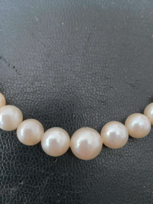 A String of Graduating Cultured Pearl Necklace With 9ct Gold Clasp - INCLUDES VALUATION  CERTIFICATE