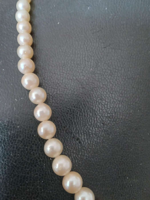 A String of Graduating Cultured Pearl Necklace With 9ct Gold Clasp - INCLUDES VALUATION  CERTIFICATE