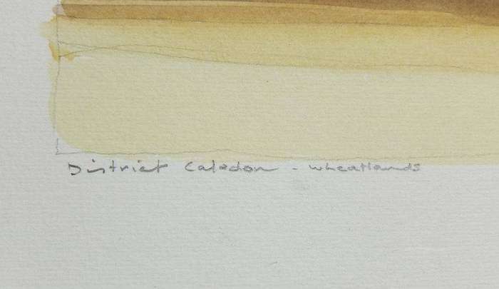 An original watercolour painting of the Caledon wheatlands signed Coleman dated 1986