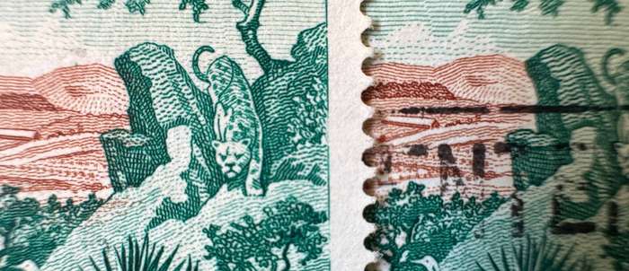 Southern Rhodesia Variation