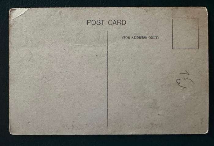 POSTCARD BRIANY CAUE, WATERMOUTH
