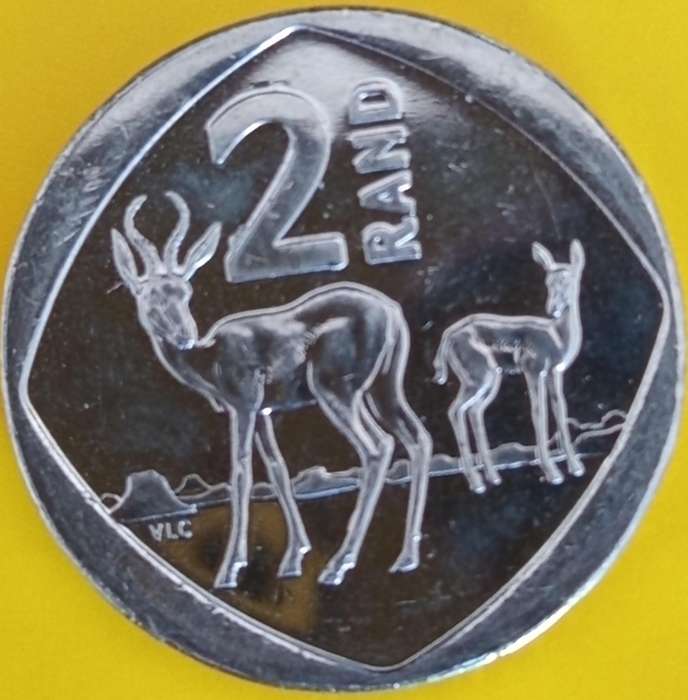 2023 R2 COIN