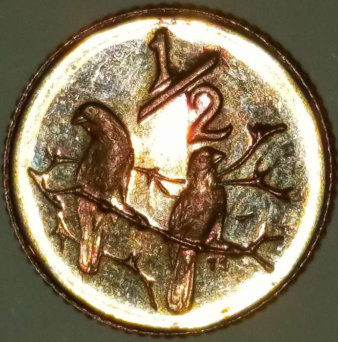 1981 HALF CENT COIN
