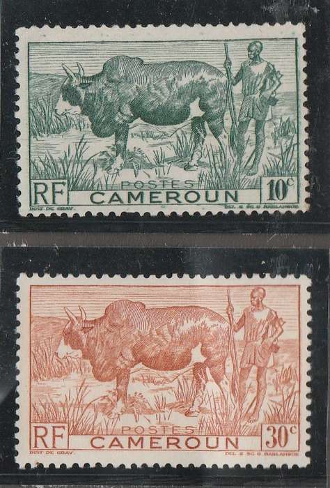 CAMEROON