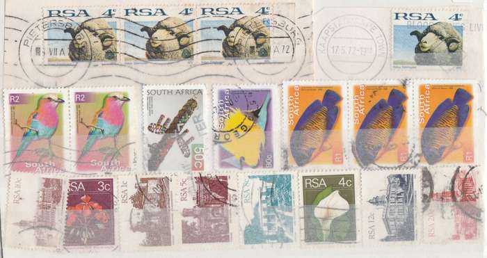 STAMP