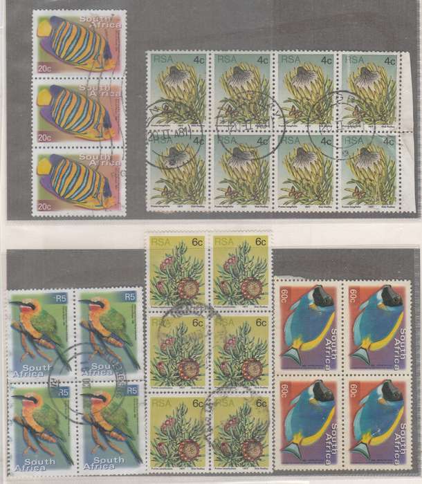 STAMP