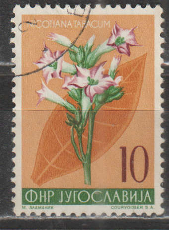 YUGOSLAVIA  1955 Local Flora ULH SG 793