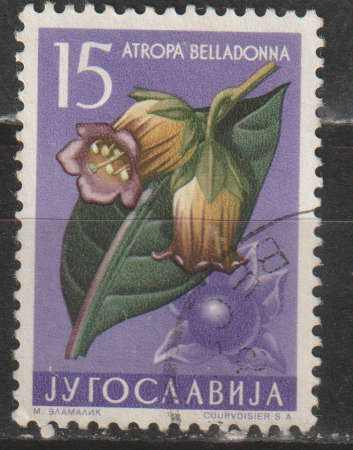 YUGOSLAVIA  1957 Local Flora ULH SG 845