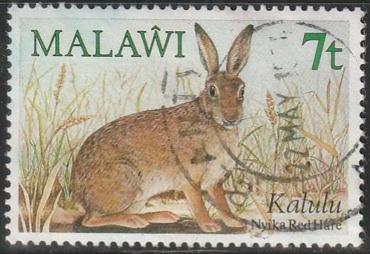 THEMATIC FAUNA MALAWI ULH