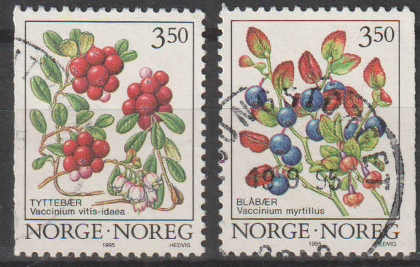 NORWAY 1995 Wood Berries UNH SG 1197/8