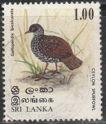 THEMATIC BIRDS SRI LANKA VFU