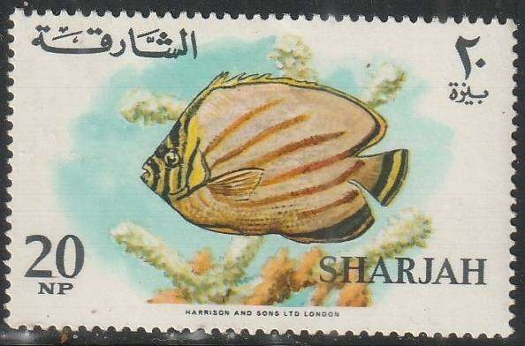 THEMATIC SHIPS SHARJAH UMM