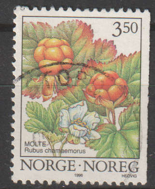 NORWAY 1996 Wood Berries UNH SG 1225