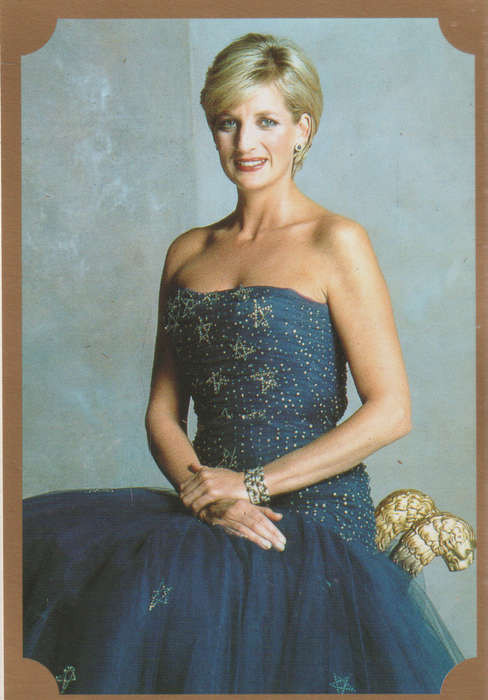 MERLIN PRINCESS DIANA COLLECTALE STICKERS #100