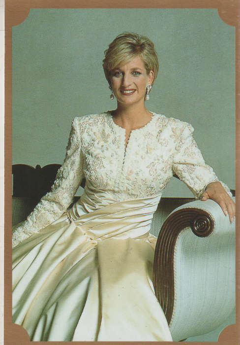 MERLIN PRINCESS DIANA COLLECTALE STICKERS #104