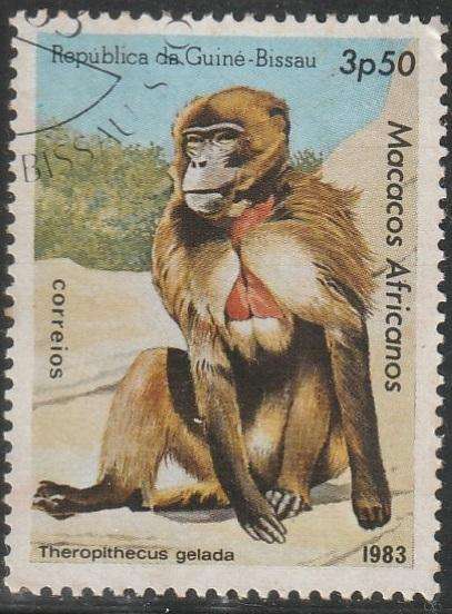 THEMATIC ANIMALS MOROCCO VFU