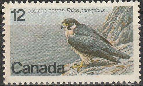 THEMATIC BIRDS CANADA UMM