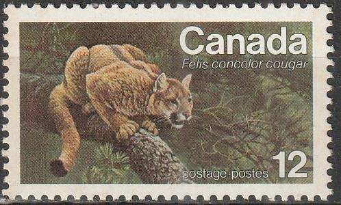 THEMATIC CATS CANADA UMM