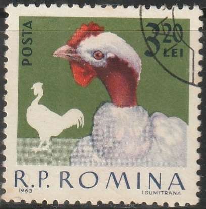 THEMATIC BIRDS ROMANIA ULH