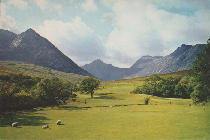 MINT POST CARD