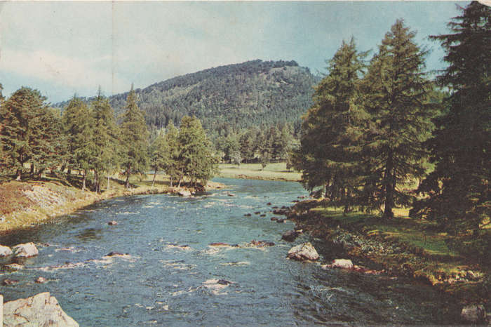 MINT POST CARD