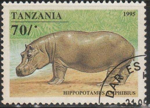 THEMATIC ANIMALS TANZANIA VFU