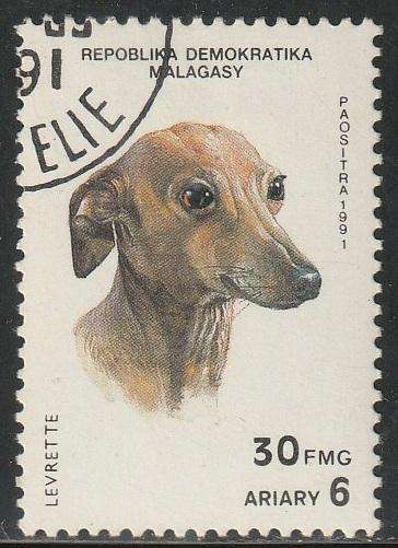 THEMATIC DOGS MALAGASY CTO
