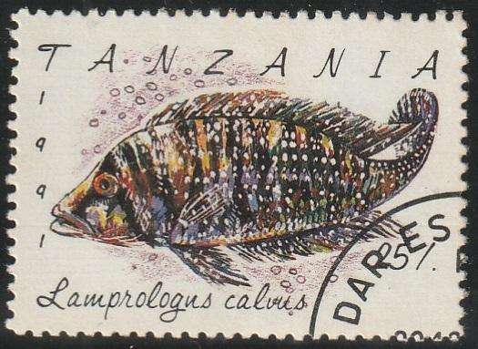 TANZANIA 1991 Fish VFU SG 1138