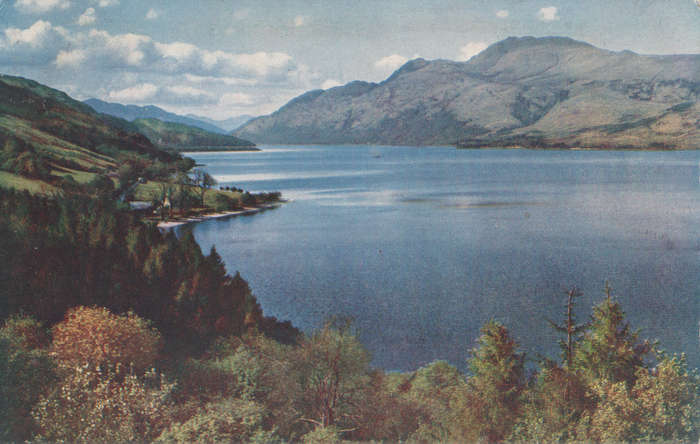 MINT POST CARD
