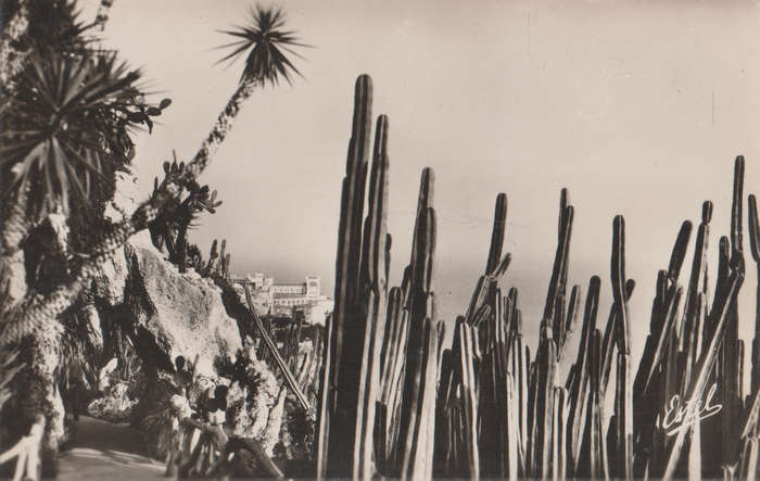 MINT POST CARD MONACO