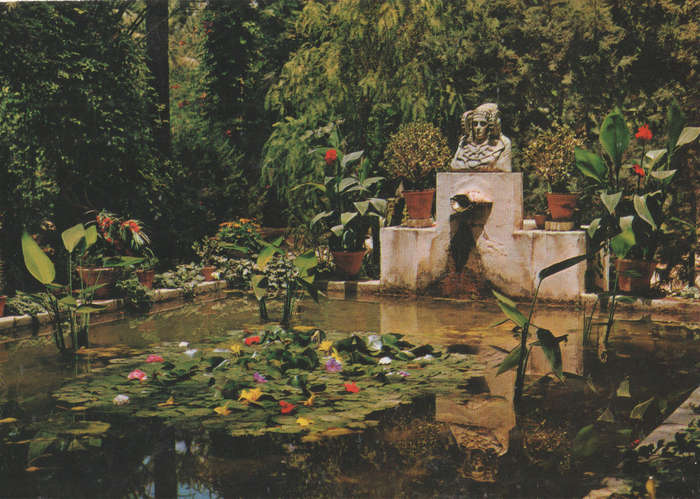 MINT POST CARD