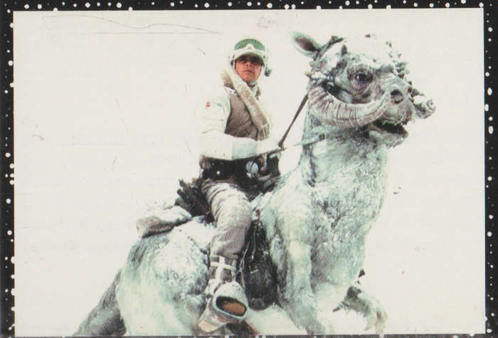 PANINI STAR WARS COLLECTABLE STICKER #46