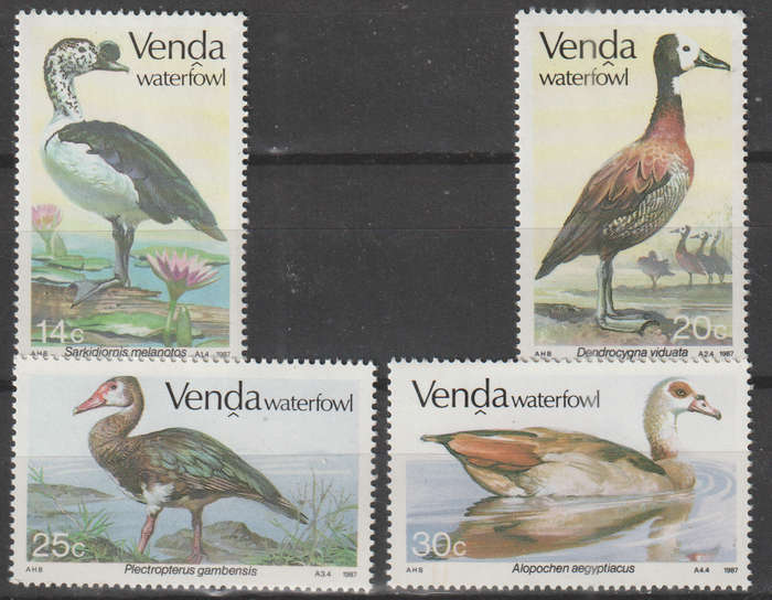 VENDA 1987 Waterfowl UMM