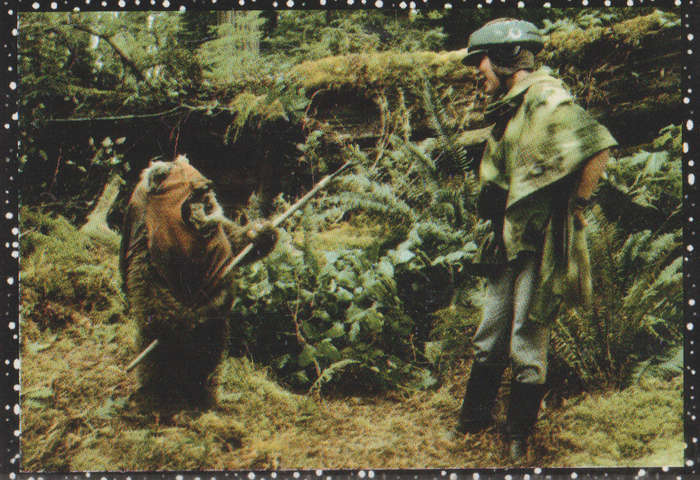 PANINI STAR WARS COLLECTABLE STICKER #136
