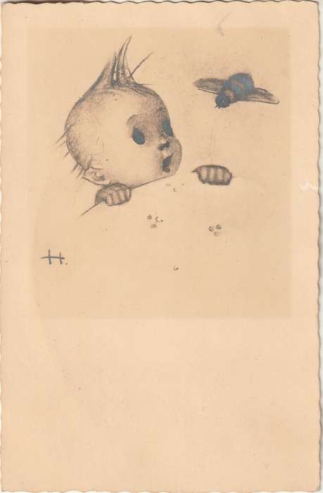 MINT POST CARD