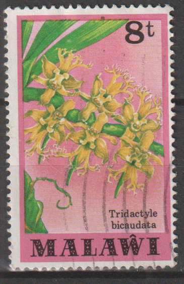 MALAWI 1979 Orchids ULH SG 581