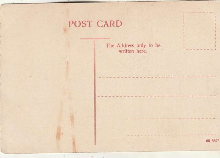MINT POST CARD STATUE PRESIDENT KRUGER