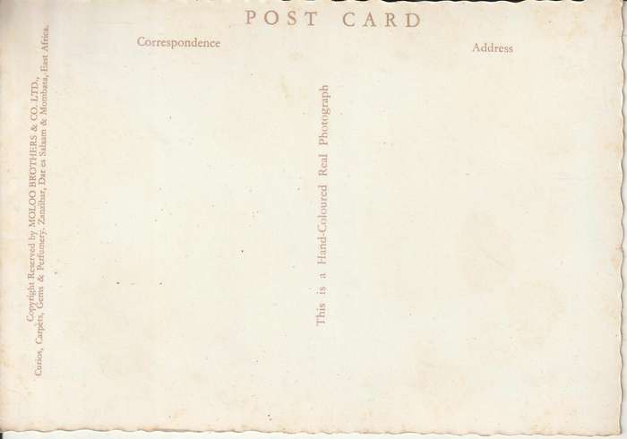 MINT POST CARD CARVED ARAB DOOR ZANZIBAR