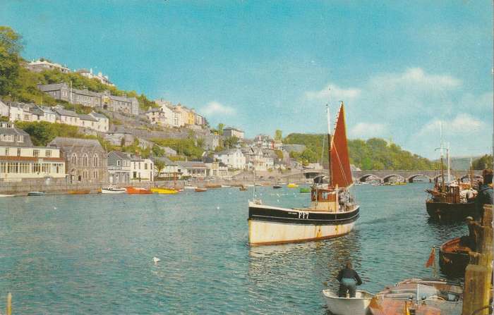 UN USED  VINTAGE POST CARD SHARK LUGGER LOOE
